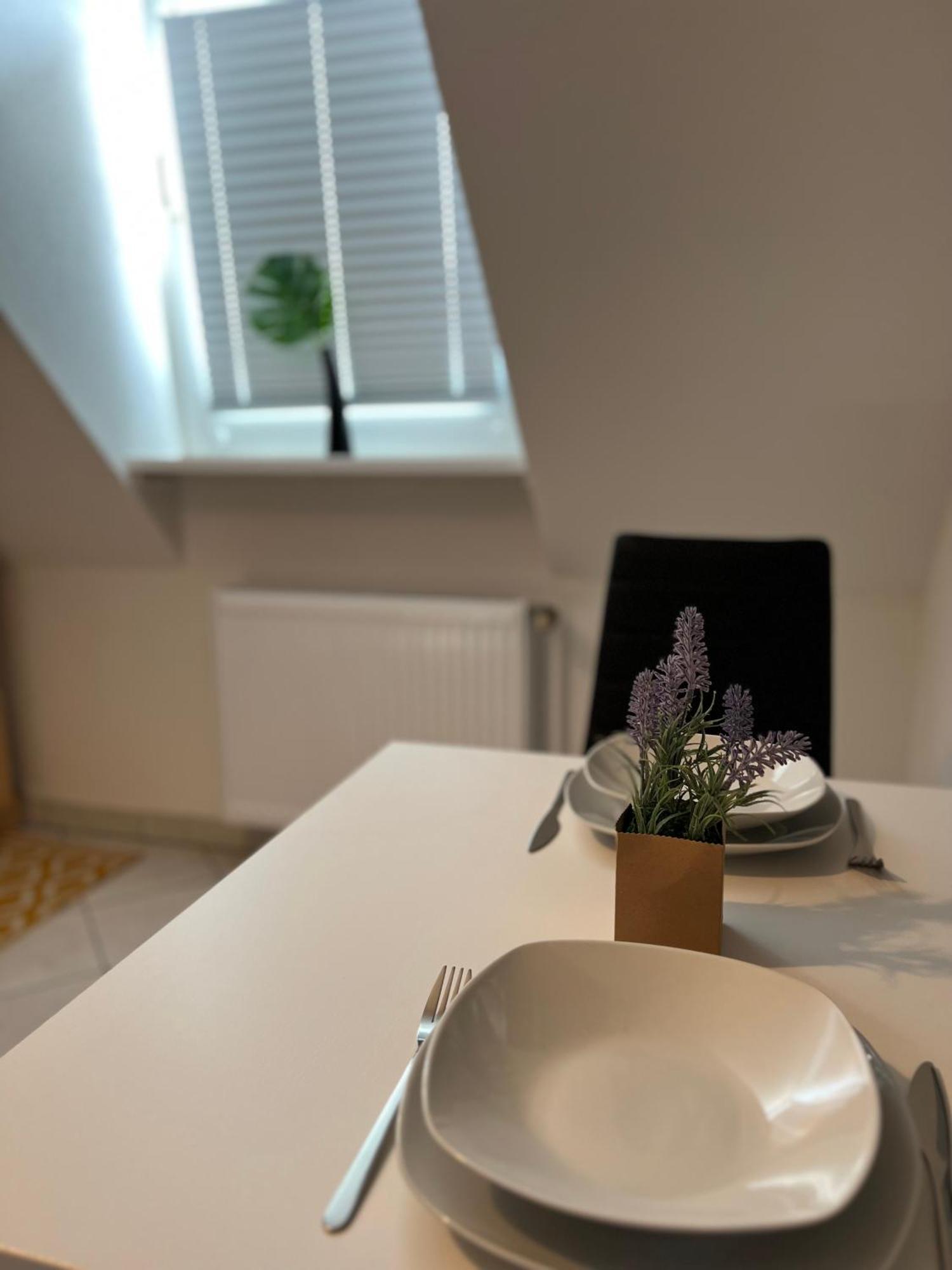 Rose No. 6 Dg, Klimatisiert Apartment Friedrichshafen Exterior photo